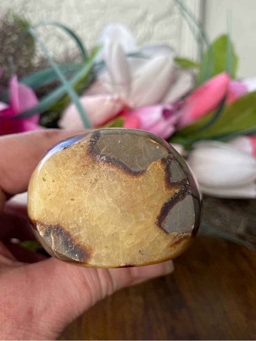 Septarian Freeform - Picture 10 of 12